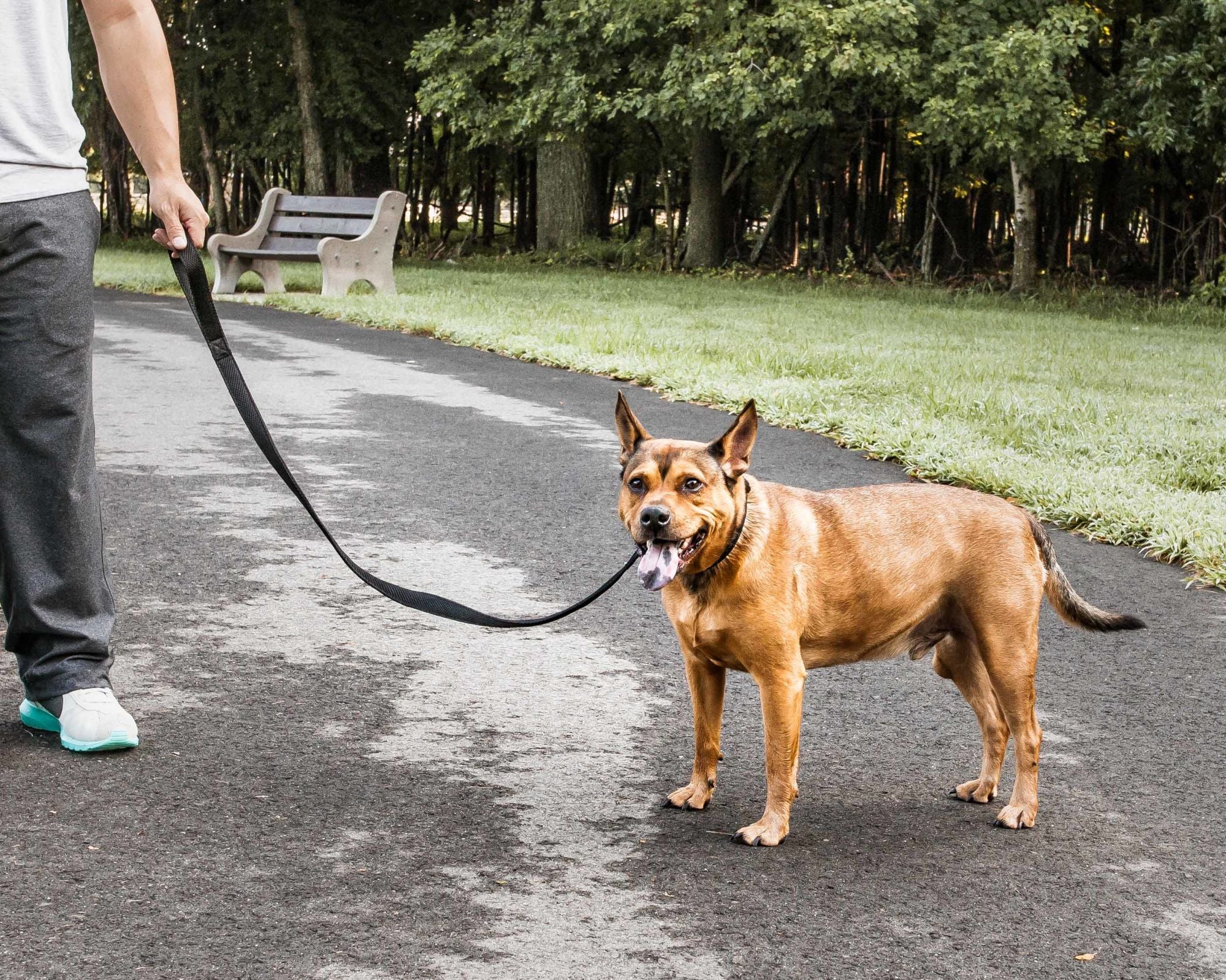 Pet Life 'Aero Mesh' Comfortable Adjustable Dog Leash