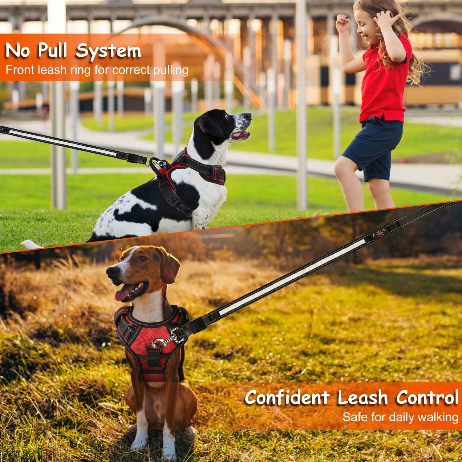 Rechargeable LED No Pull Harness Vest with Handle for Dogs