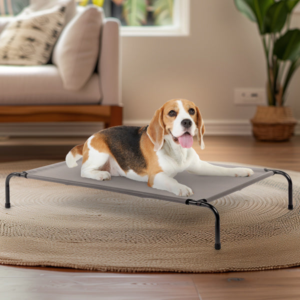 Sturdy Durable Elevated Large Bed for Dogs