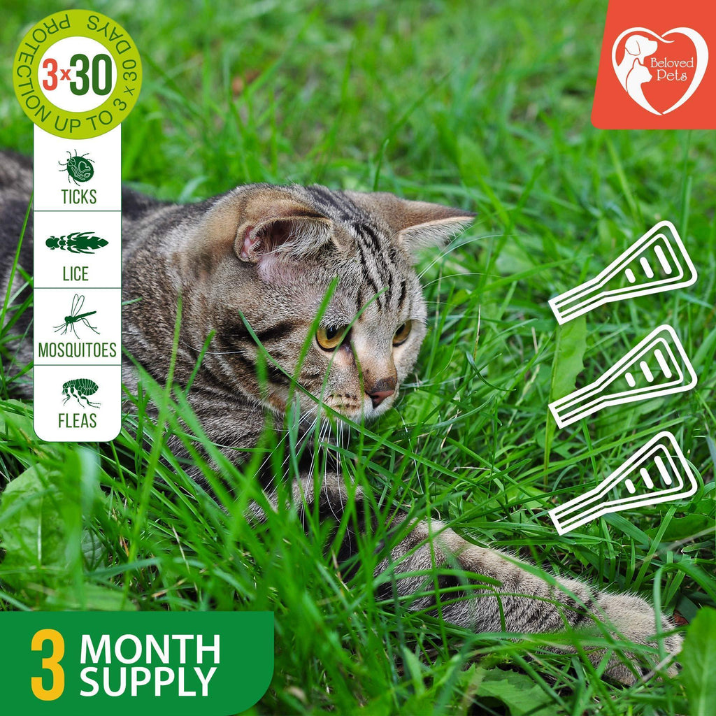 Natural  Flea and Tick Prevention Mosquito Repellent for Dogs and Cats