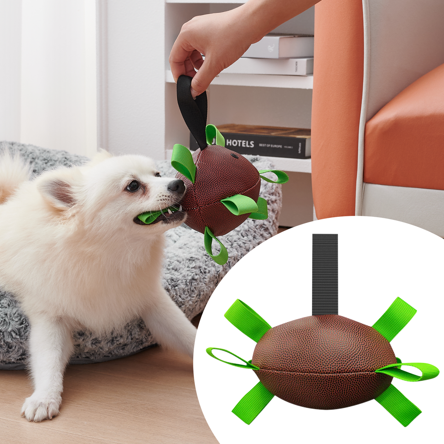 Football Interactive Toy For Small And Medium Breed Dogs