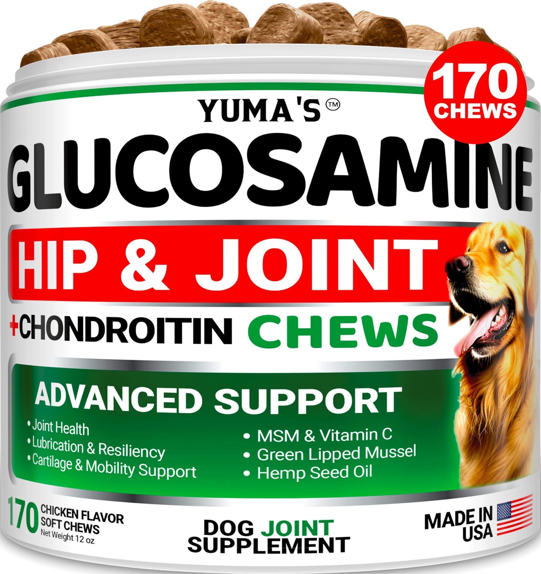 Glucosamine Hip and Joint Supplement for Dogs - 170 Ct