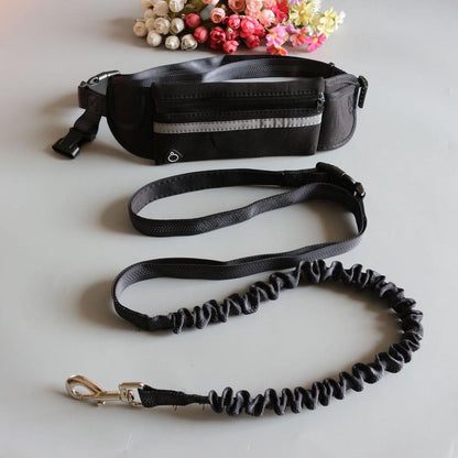 Reflective Elastic Hand Free Jogging Leash for Dog