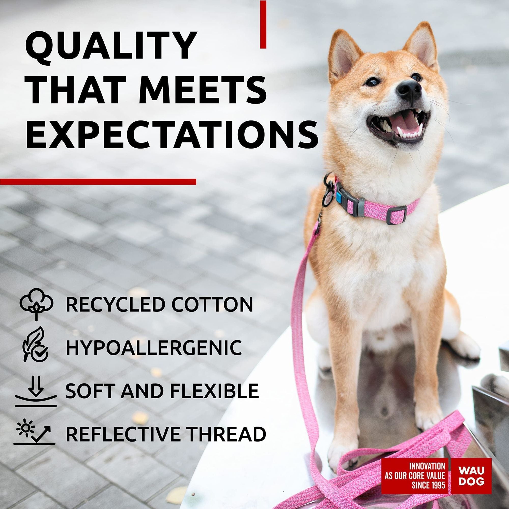 Eco Friendly Recycled Cotton Dog Collar for Dogs - Medium 10"-16"