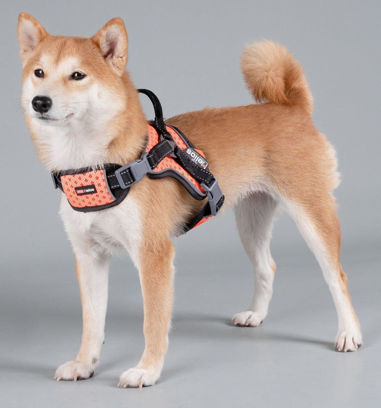 Helios 'Scorpion' Sporty High-Performance Free-Range Dog Harness