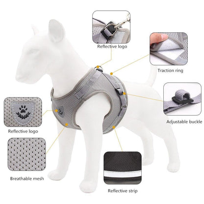 Reflective Leash and Mesh Vest Harness Set for Small Dogs