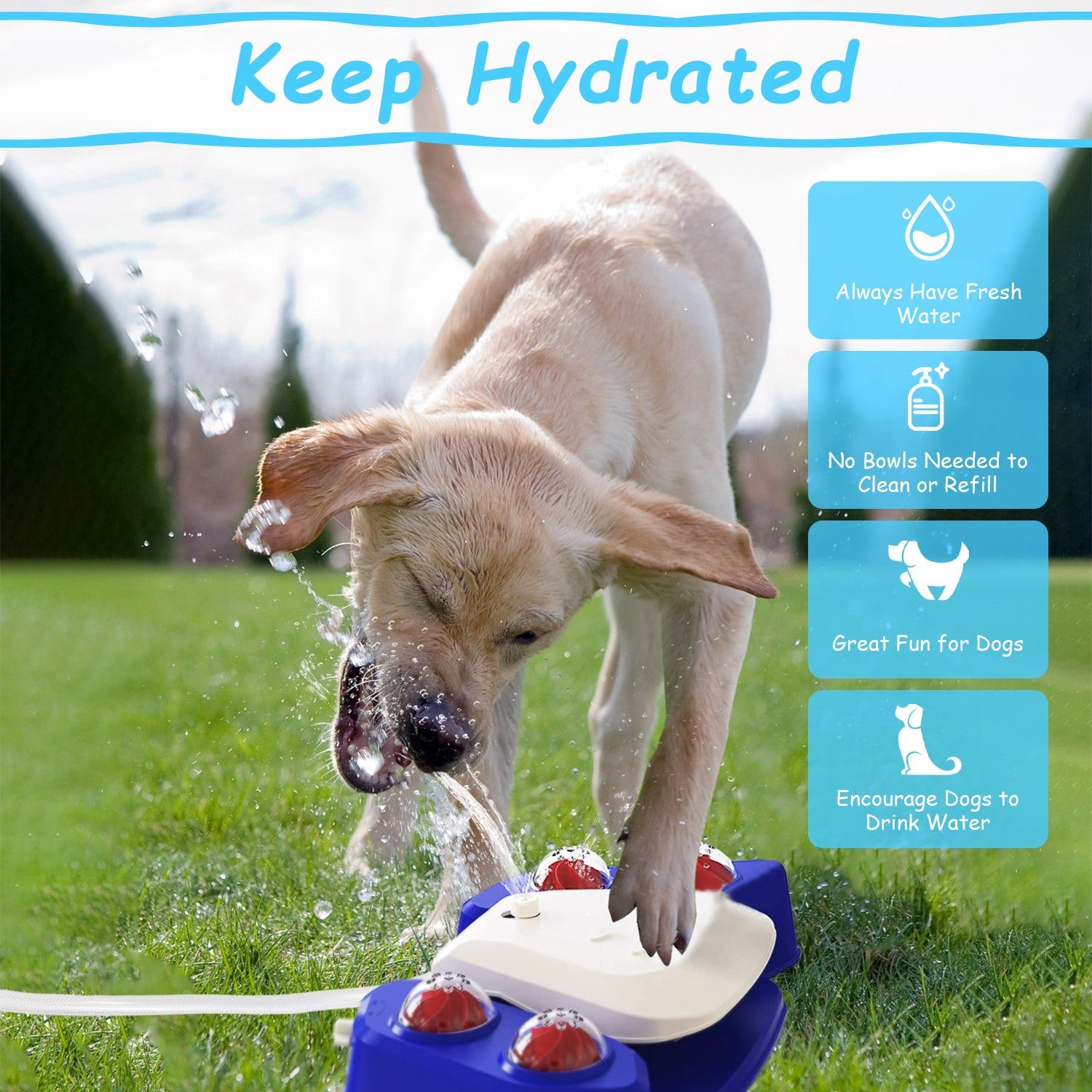 Multifunctional Step-on Activated Sprinkler and Drinking Fountain for Dogs