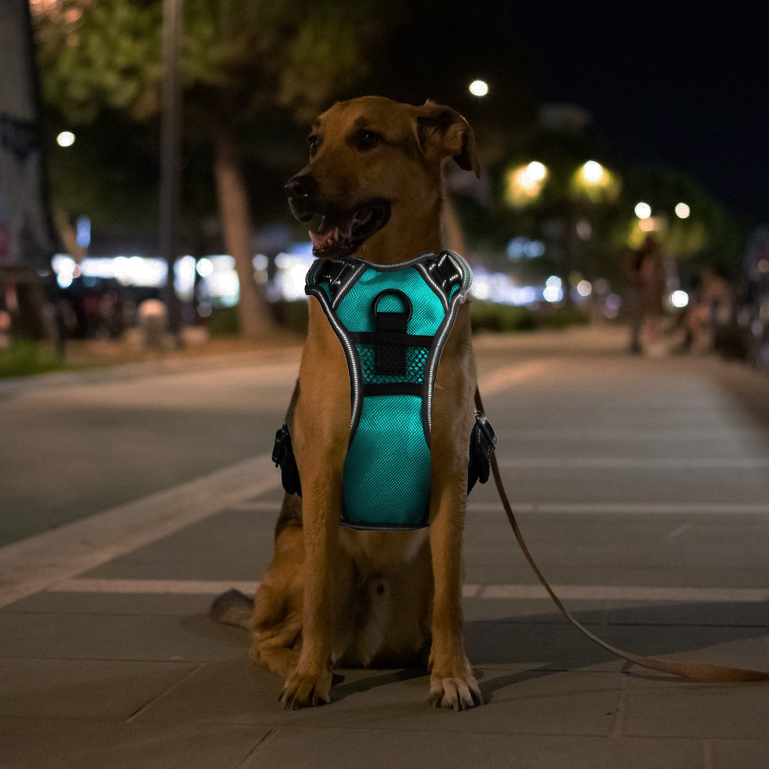 Rechargeable LED No Pull Harness Vest with Handle for Dogs