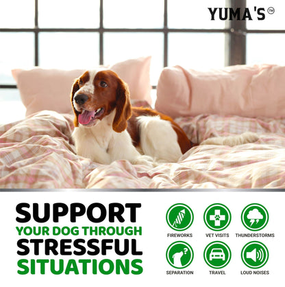 Yuma's - Hemp Oil Advanced Calming Chews for Dogs