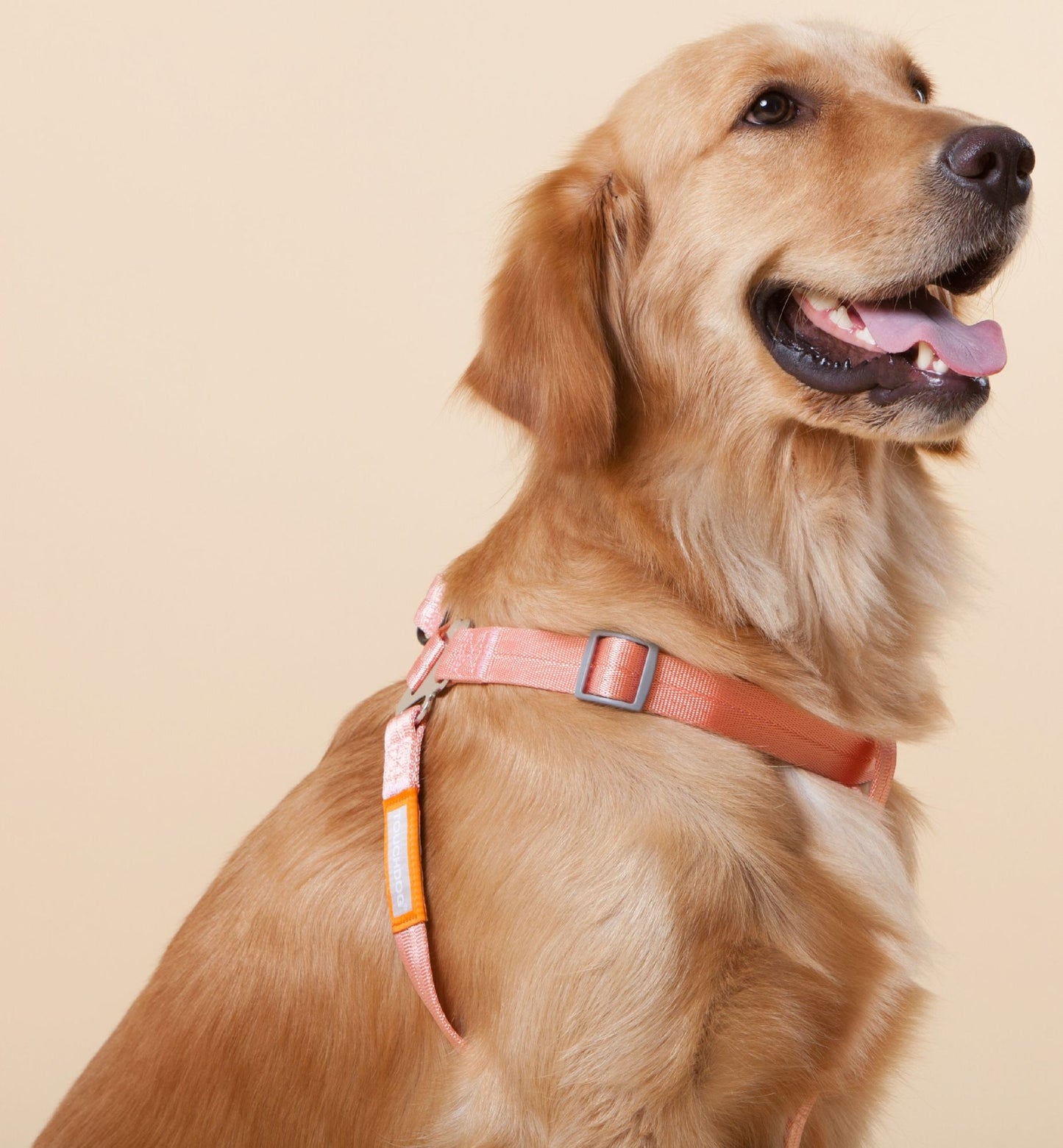 Touchdog - Macaron - 2-in-1 Durable Nylon Harness and Leash Set for Dogs