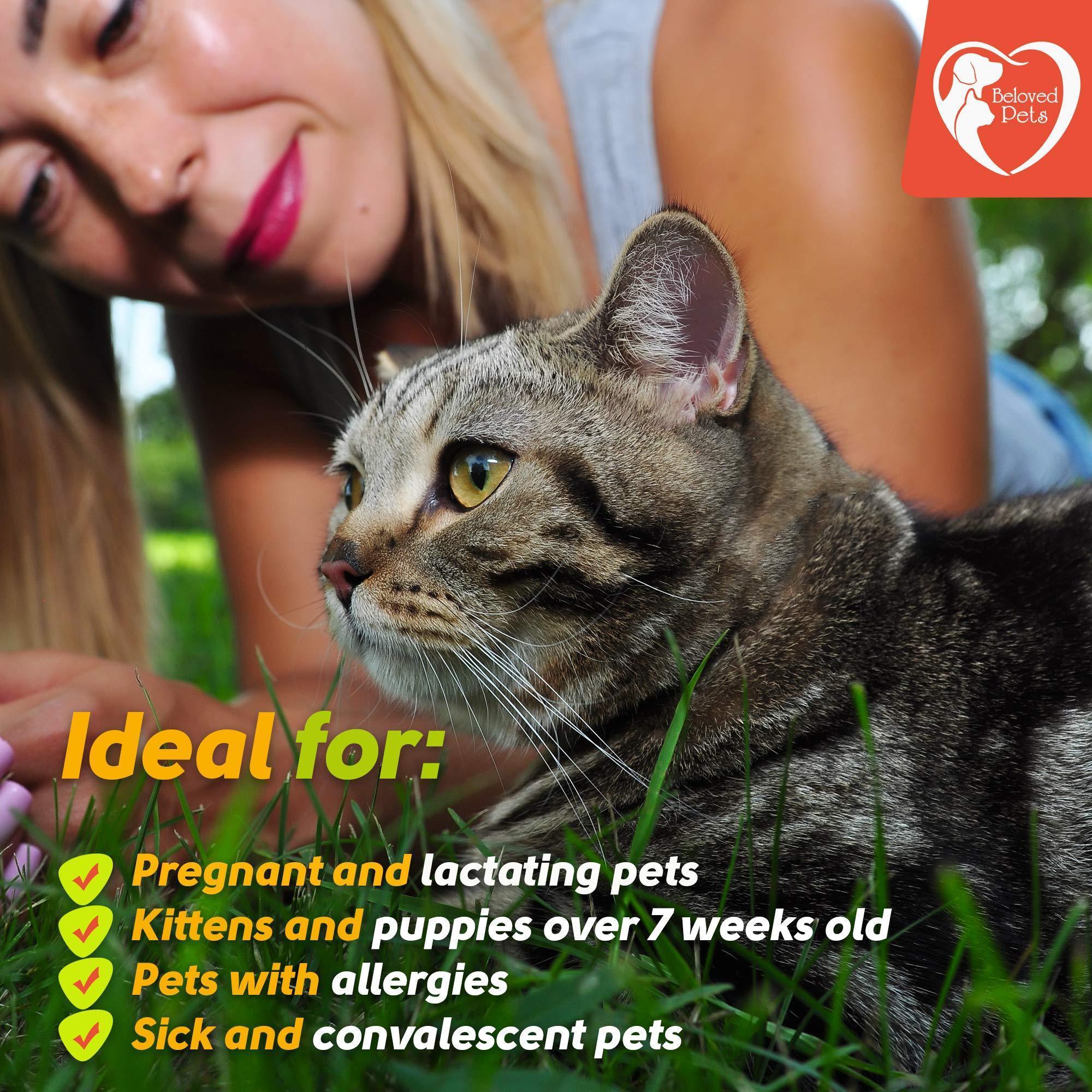 Natural  Flea and Tick Prevention Mosquito Repellent for Dogs and Cats