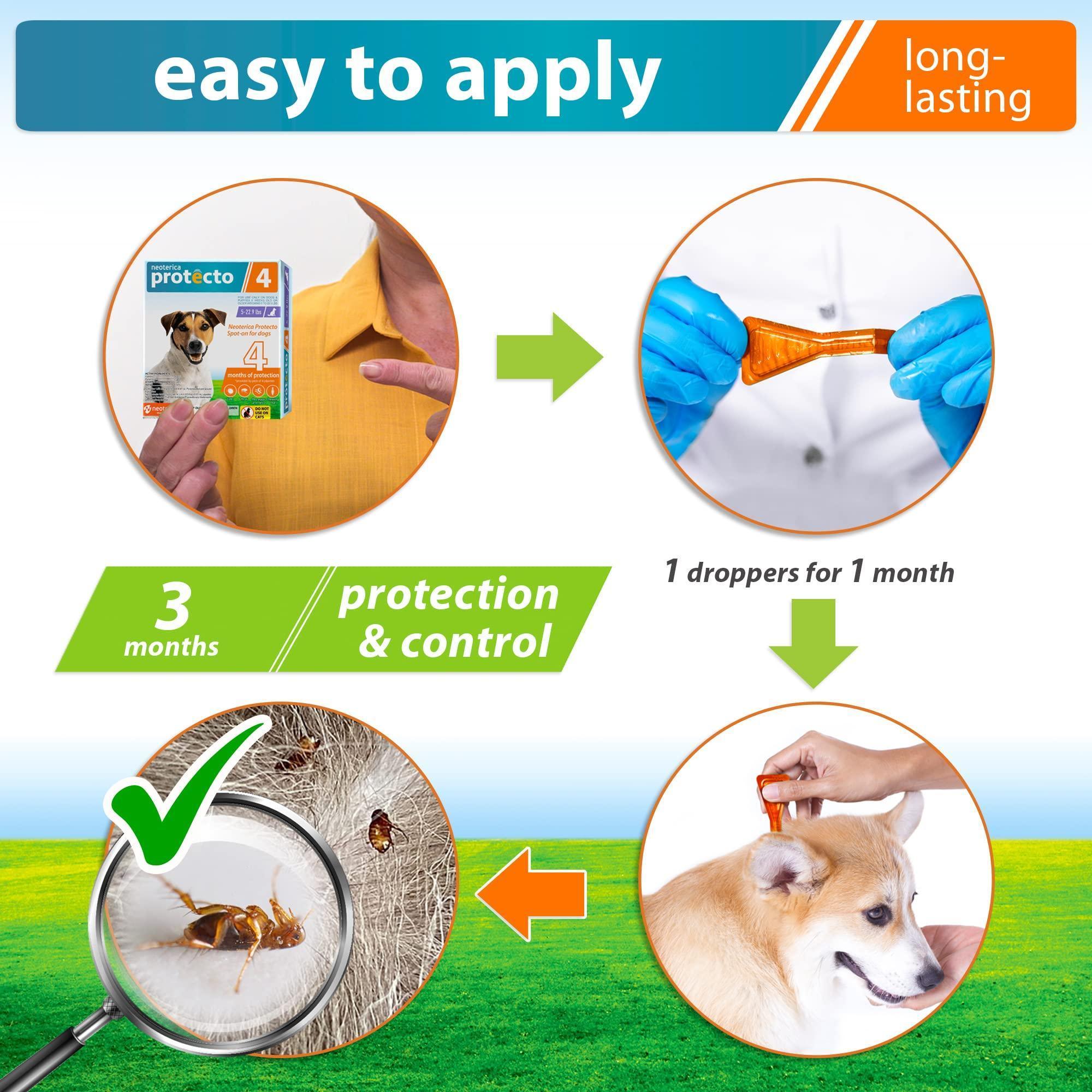 Flea and Tick Prevention with Mosquito Repellent for Dogs