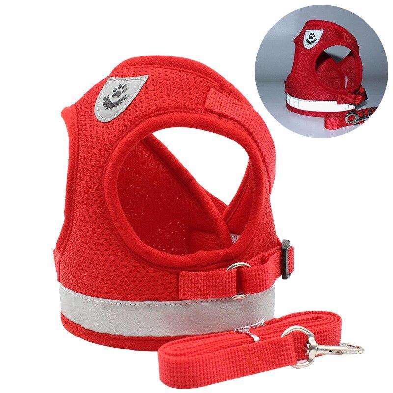 Reflective Leash and Mesh Vest Harness Set for Small Dogs