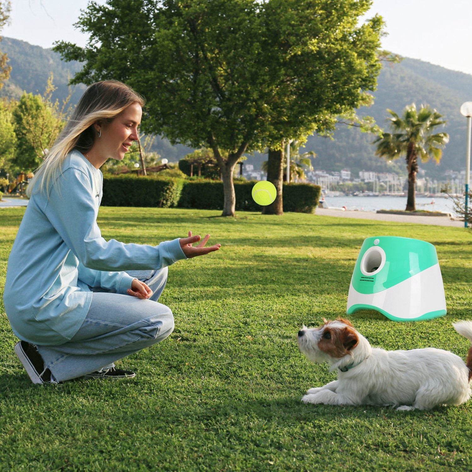 Adjustable Automatic Ball Launcher Included 6 Tennis Balls for Dogs