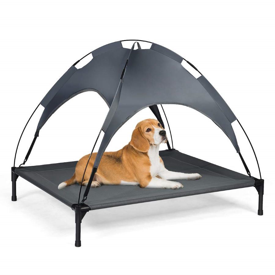 Portable Elevated Bed With Removable Shade Canopy for Dogs