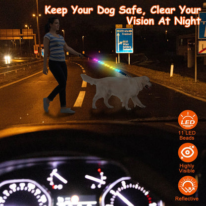 LED Light Up Leash with 9 Light Colors for Dogs - USB Rechargeable