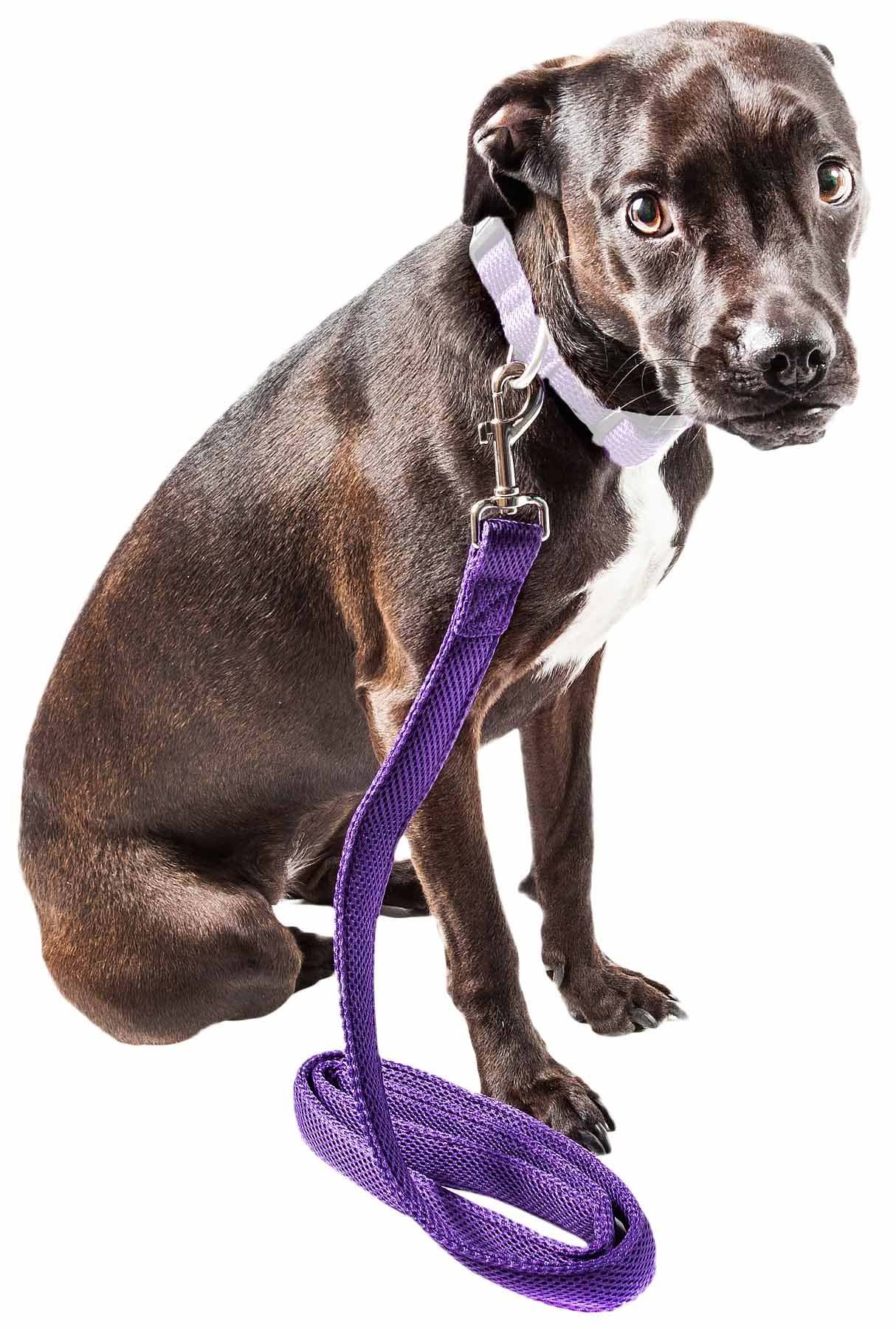 Pet Life 'Aero Mesh' Comfortable Adjustable Dog Leash