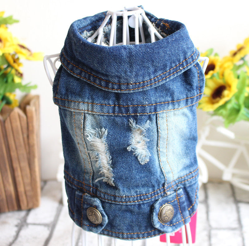 Designer Denim Jacket for Small Dogs or Cats