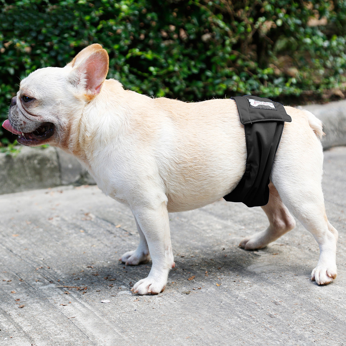 Male Dog Restraint Belt and Training Pant