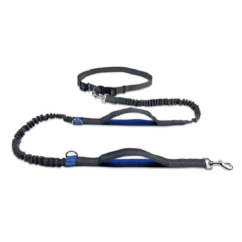 Hands-Free Bungee Anti-Jerk Leash for Dogs