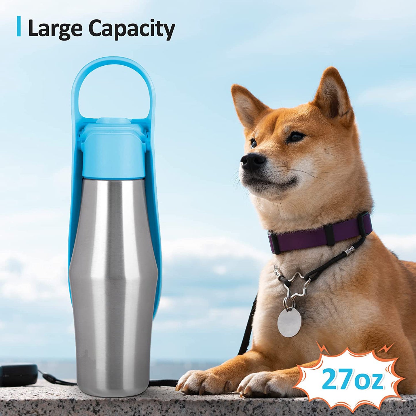 Stainless Steel Water Bottle with Silicone Leaf Bowl For Dog