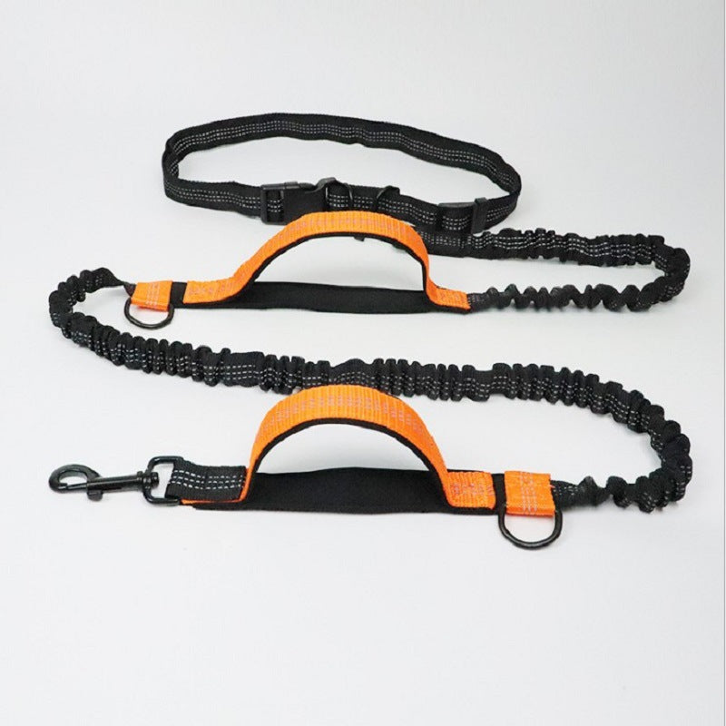 Hands-Free Bungee Anti-Jerk Leash for Dogs