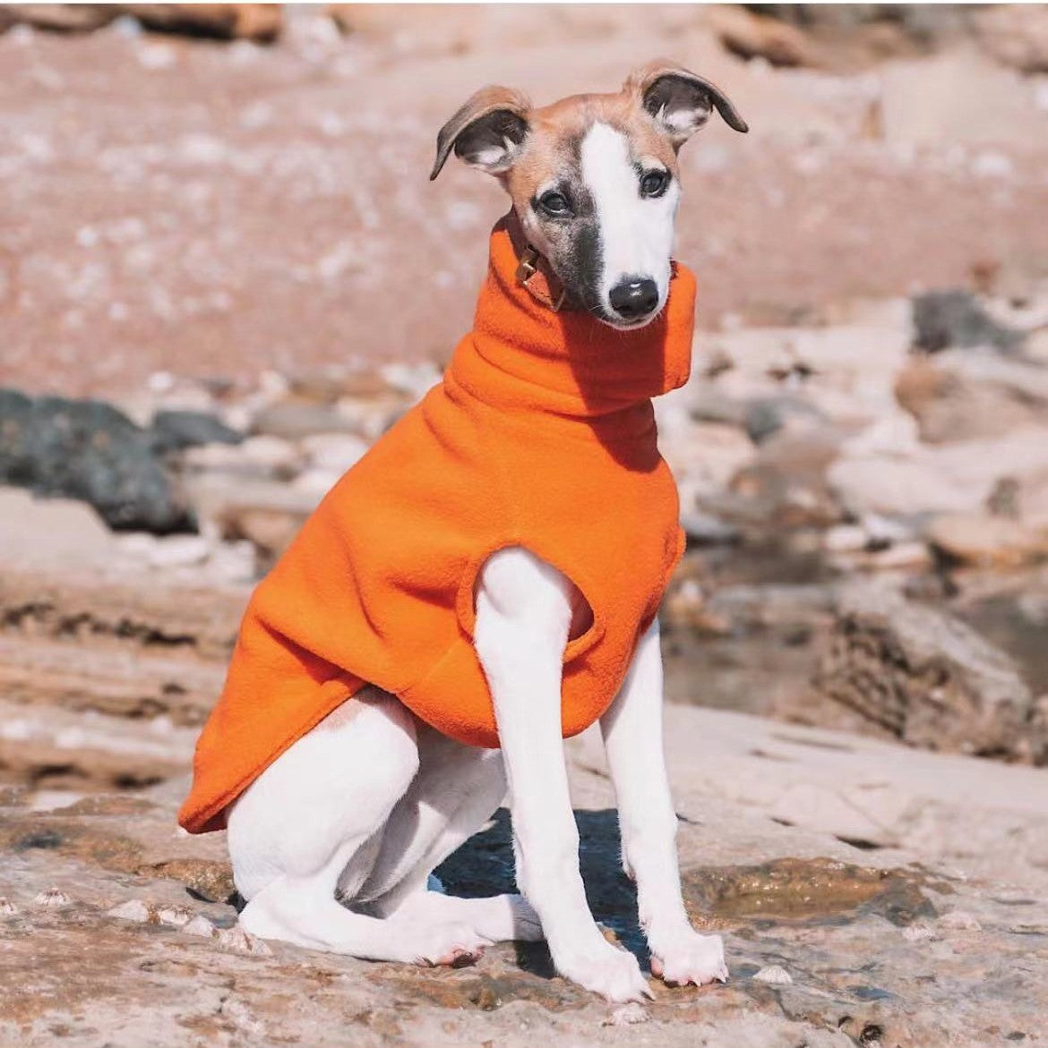 Warm Comfortable Polar Fleece Dog Turtleneck