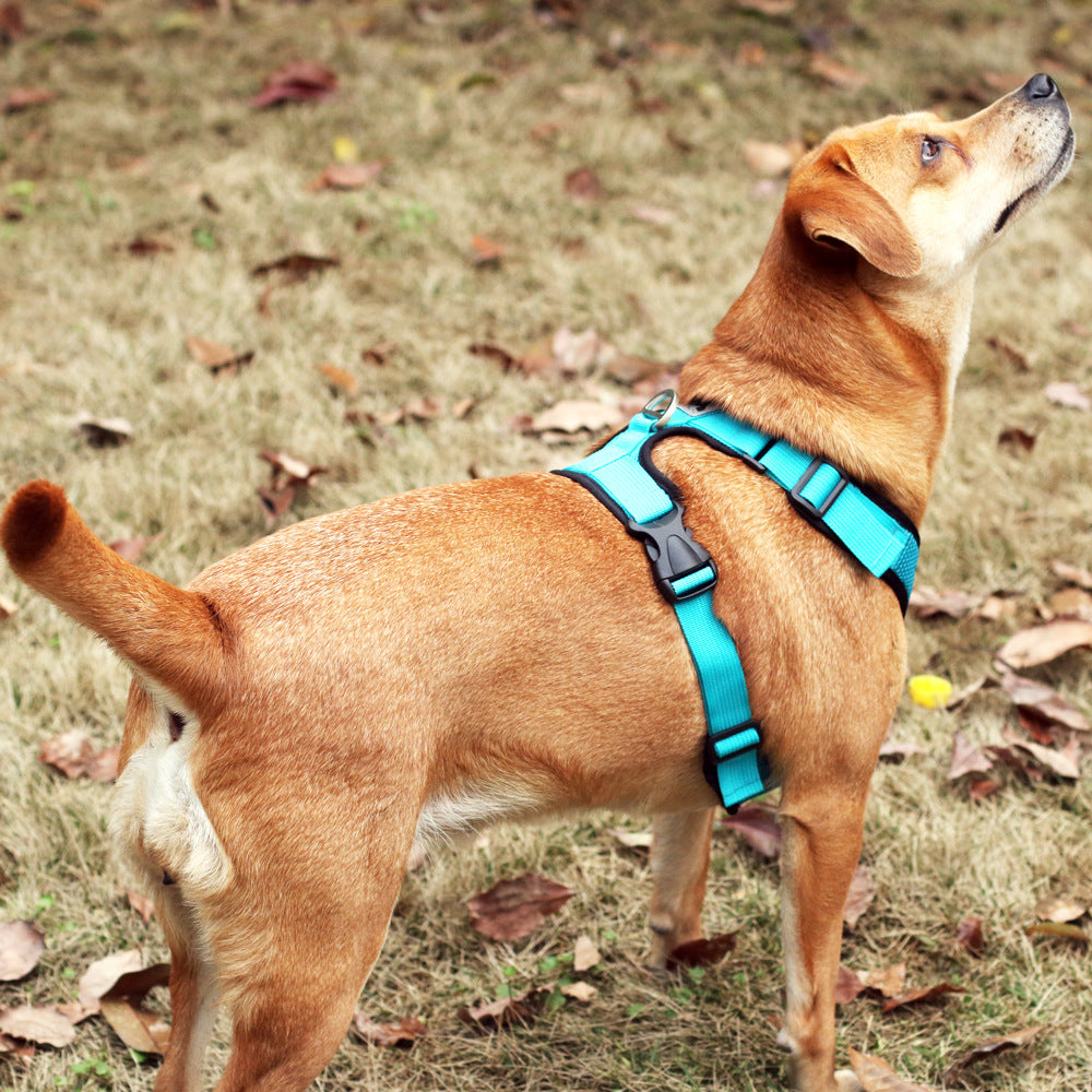 I-Shaped Reflective And Breathable Chest Harness for Dogs