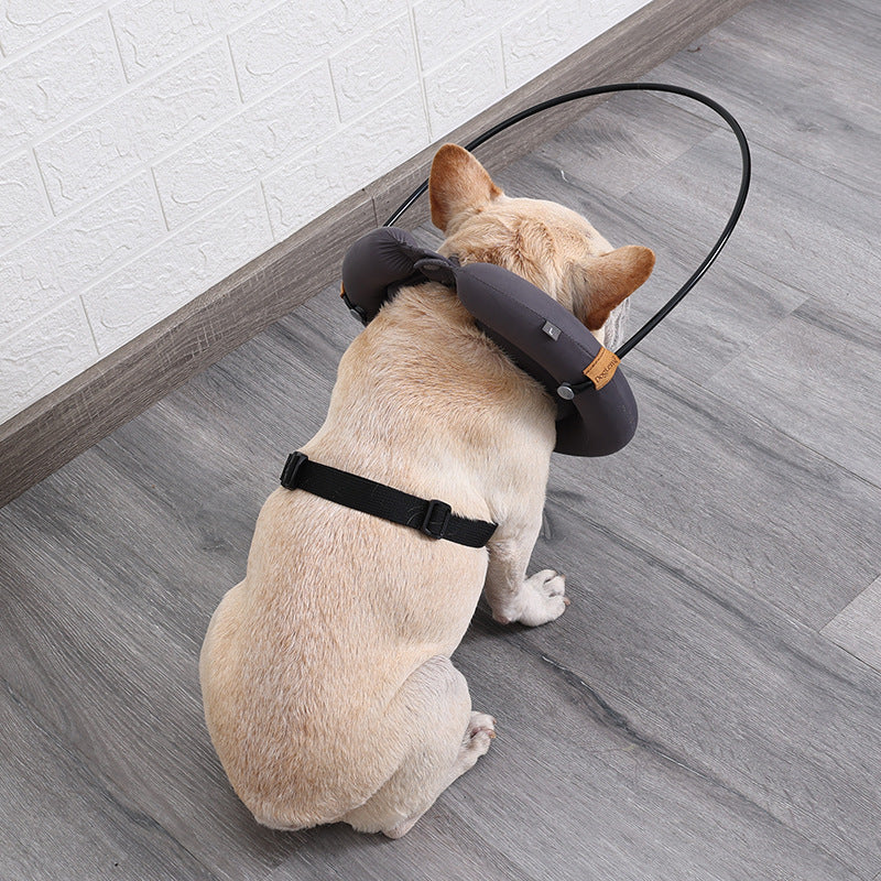 Anti-Collision Halo Safety Ring Dog Collar