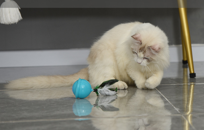 Rechargeable Multi-mode Cat Teaser Ball