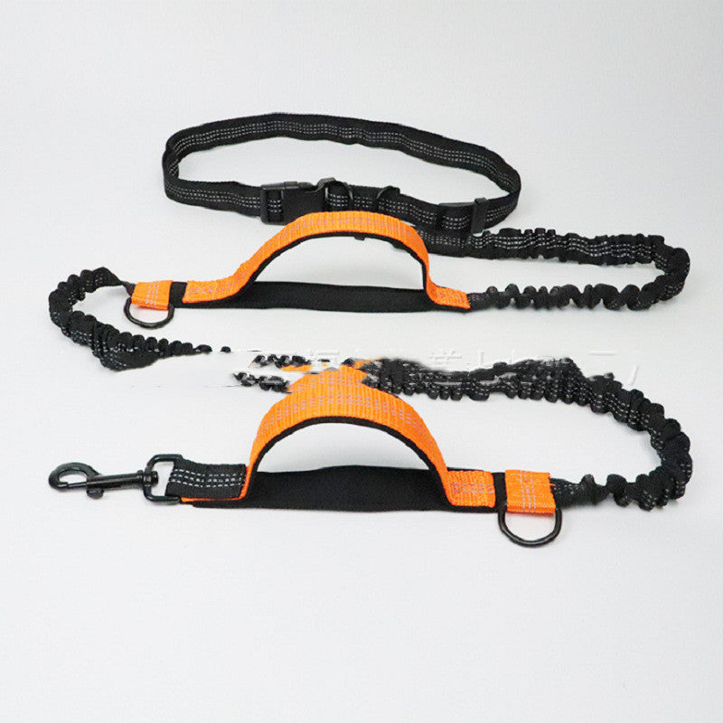 Hands-Free Bungee Anti-Jerk Leash for Dogs