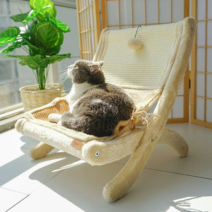 Feline Lounging and Sunbathing Beach Chair