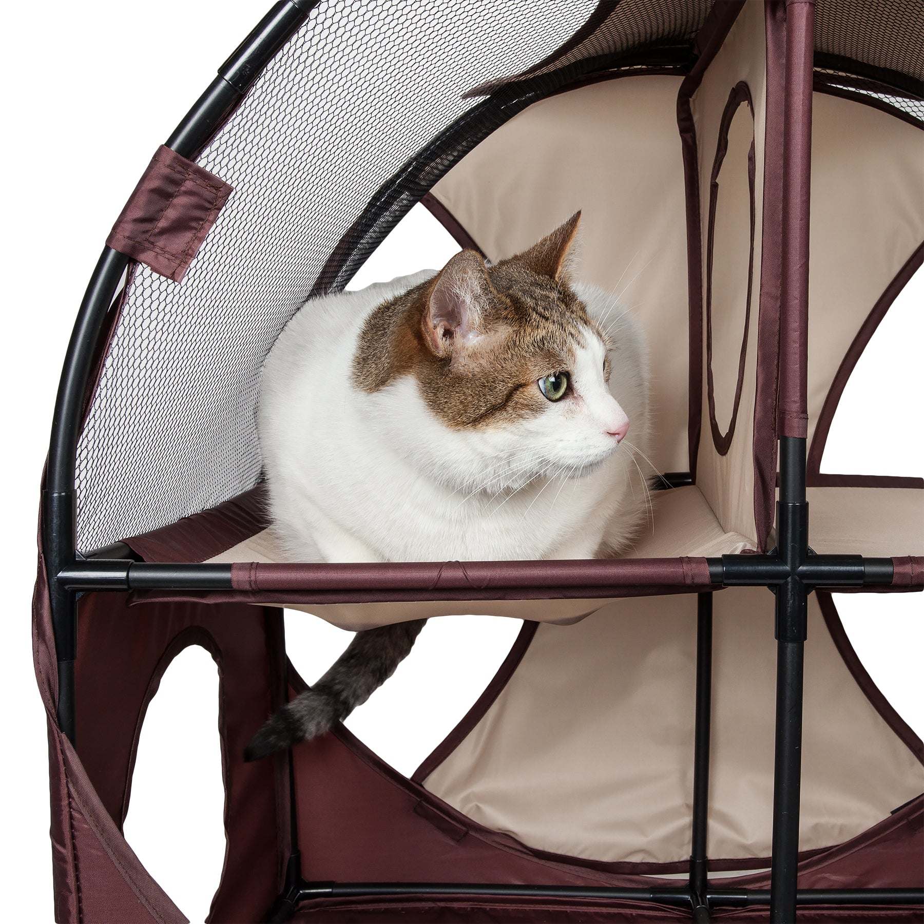 Pet Life - Kitty-Play Collapsible Cat Playhouse