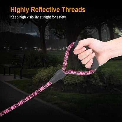 Double Dog Reflective Leash and Lead Combo