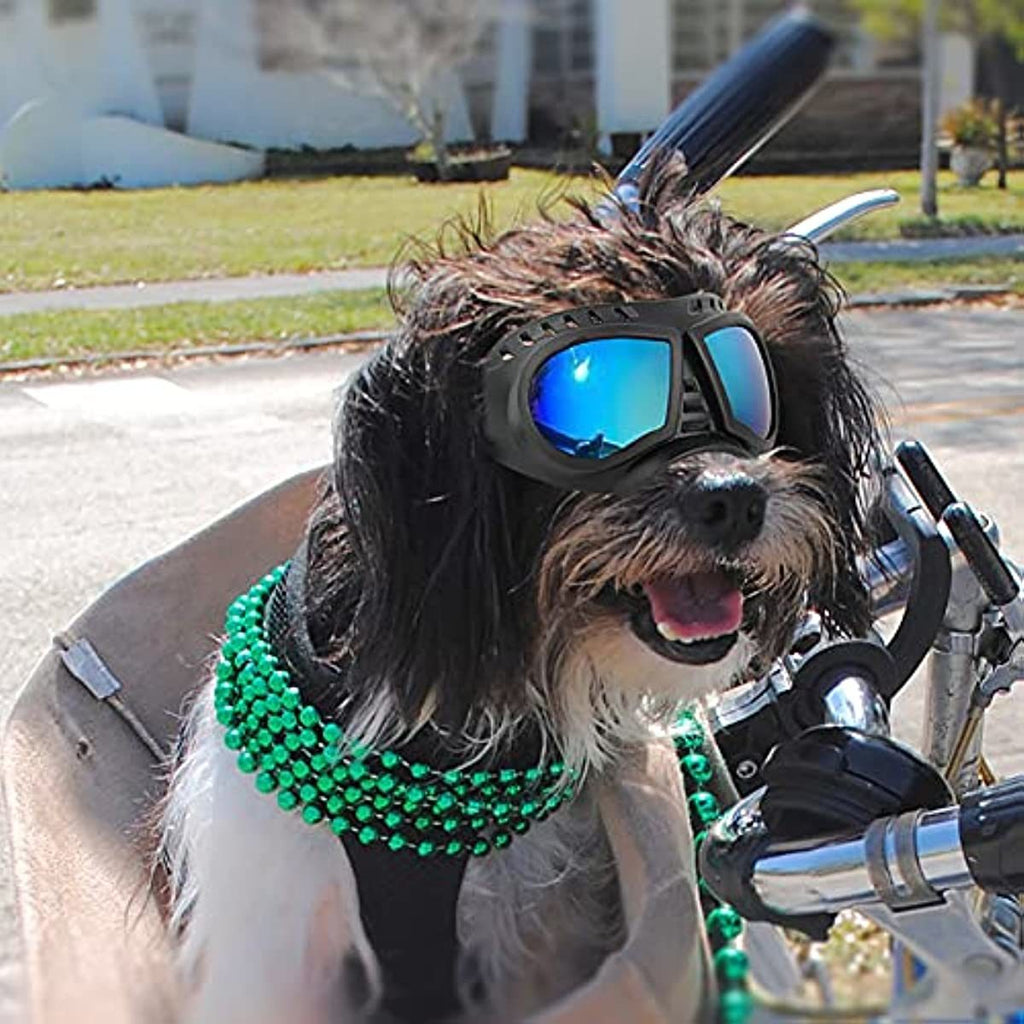 UV Protective Sunglasses for All Breed of Dogs