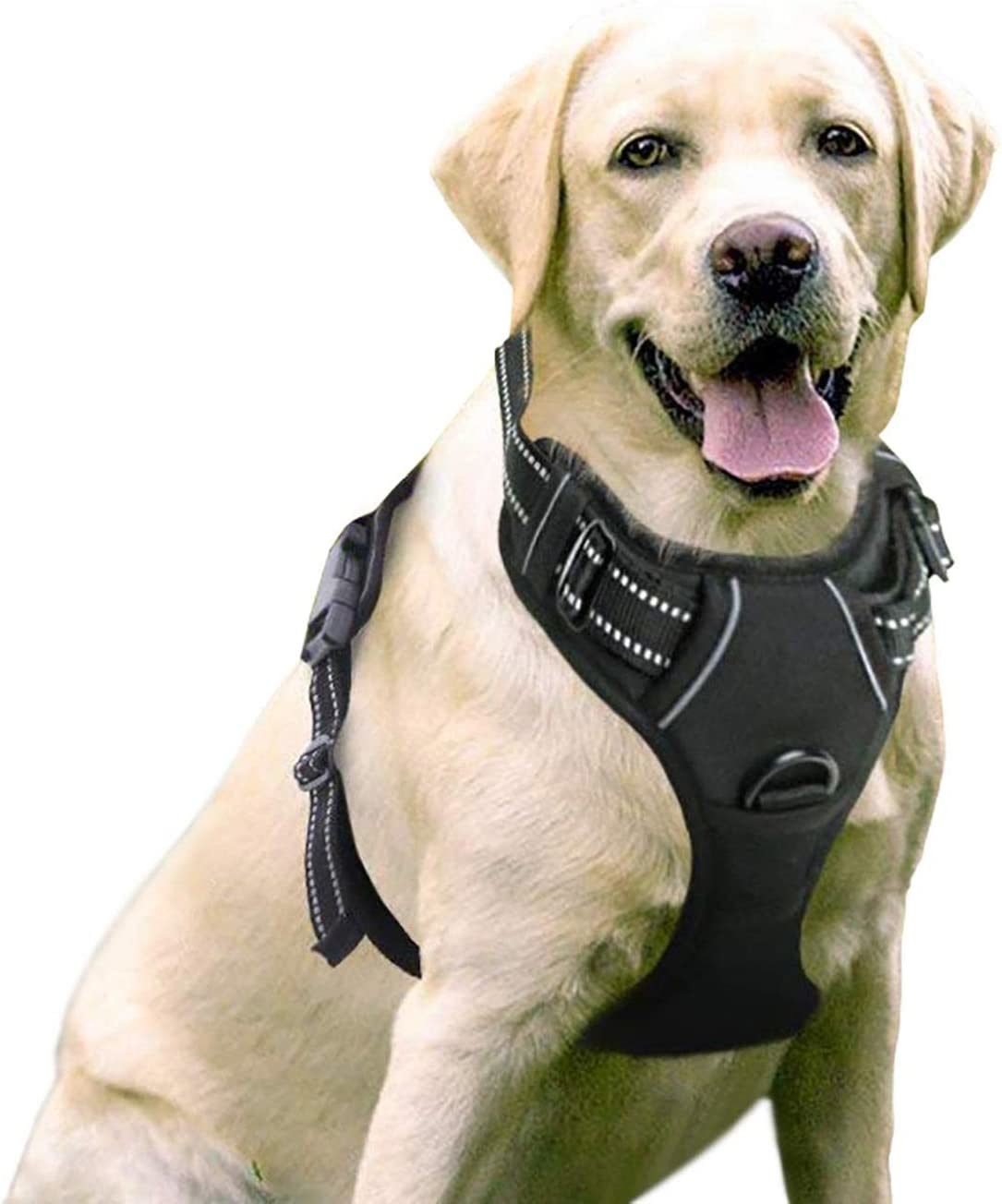 Padded Reflective No-Pull Harness for Dogs