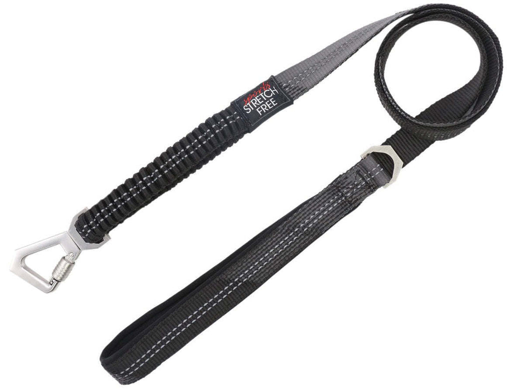 Shock Absorbing Dog Leash and Collar Set