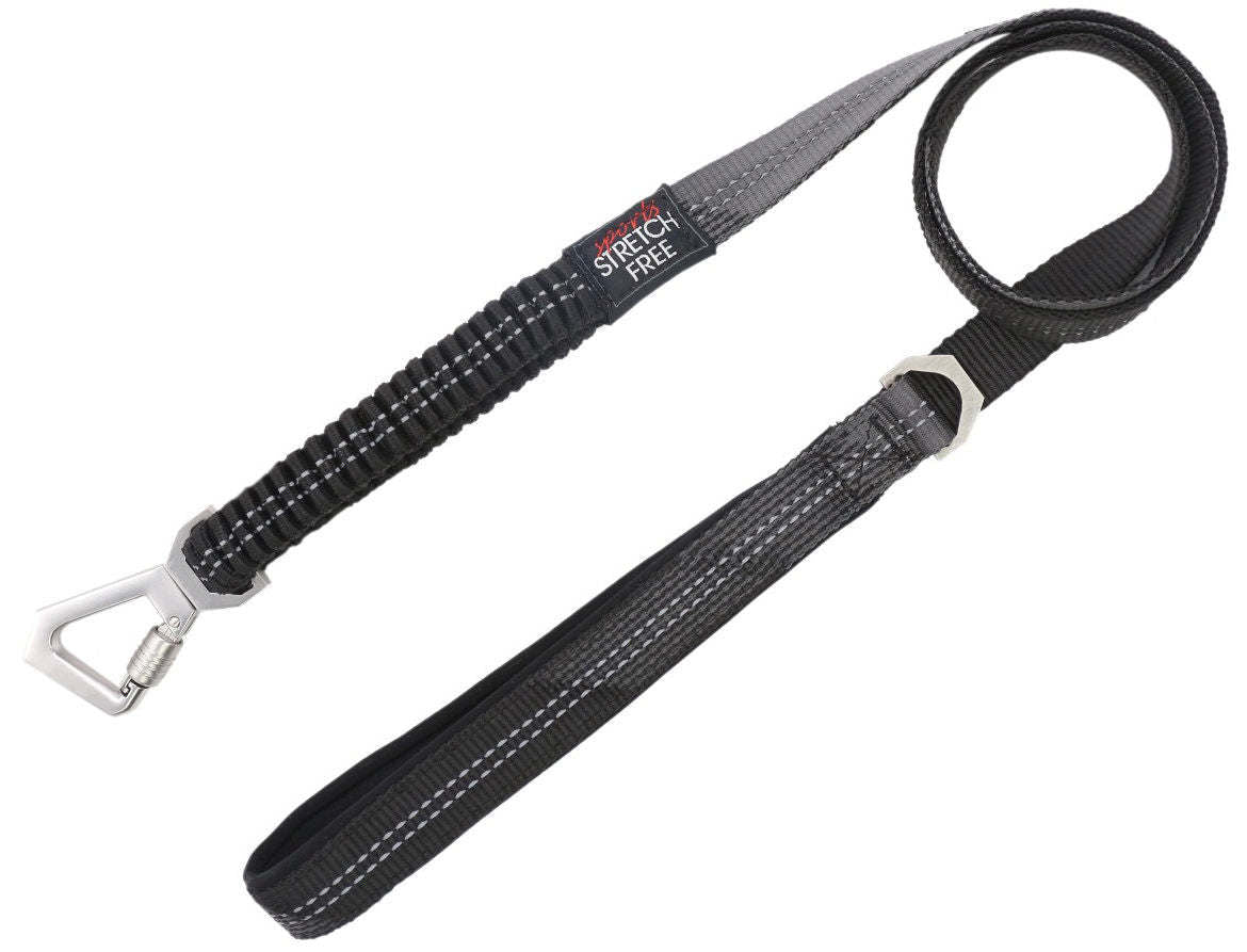 Shock Absorbing Dog Leash and Collar Set