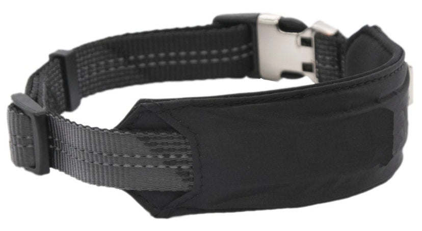 Shock Absorbing Dog Leash and Collar Set