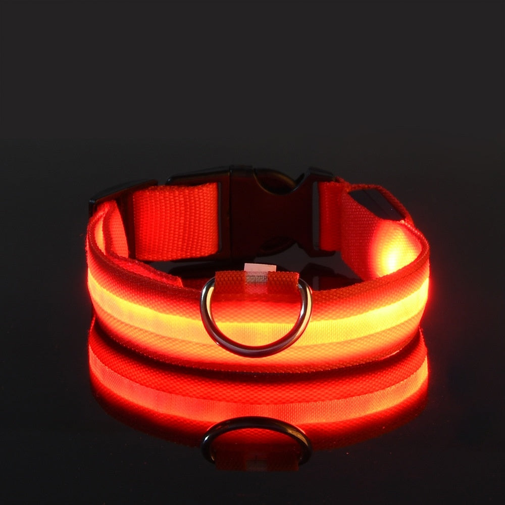 Glow-In-The-Dark Collar LED USB Charging