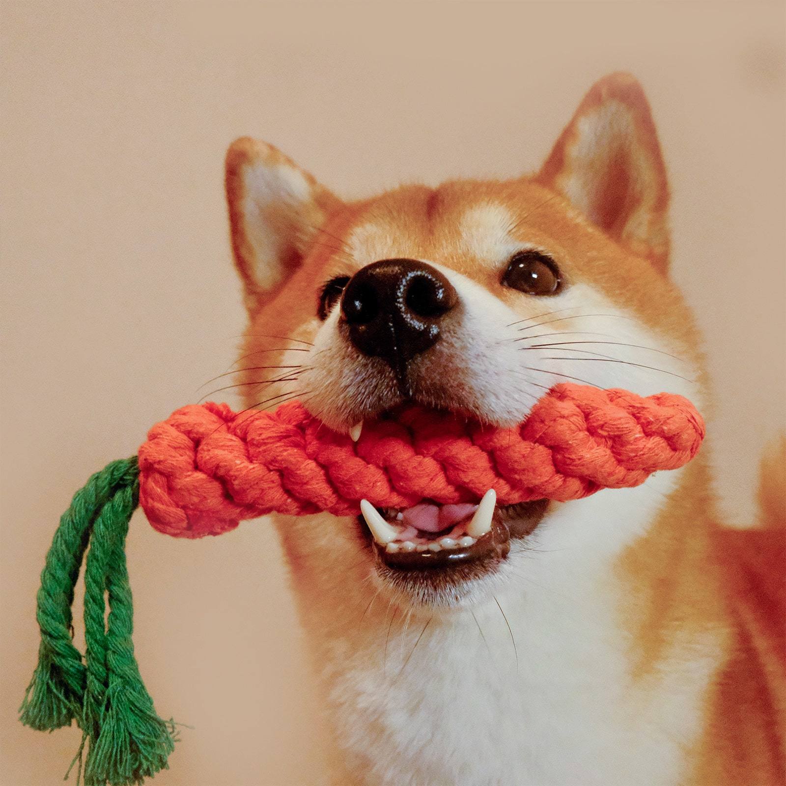 Cotton Dog Rope Toys - Carrot and Duck Shapes