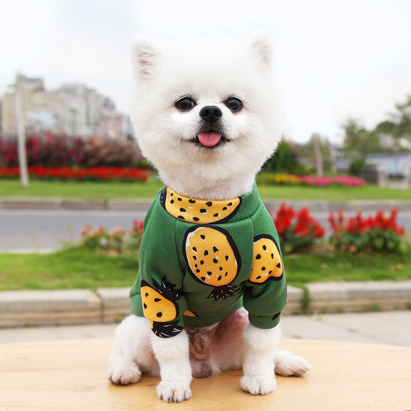 Fun Winter Sweatshirts for Small Dogs and Cats