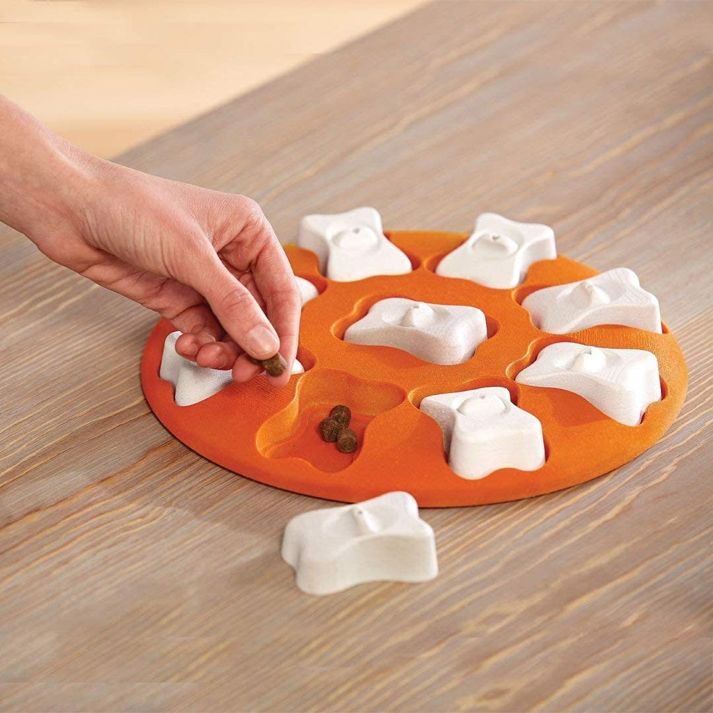 Smart Dog Interactive Training Treat Puzzle