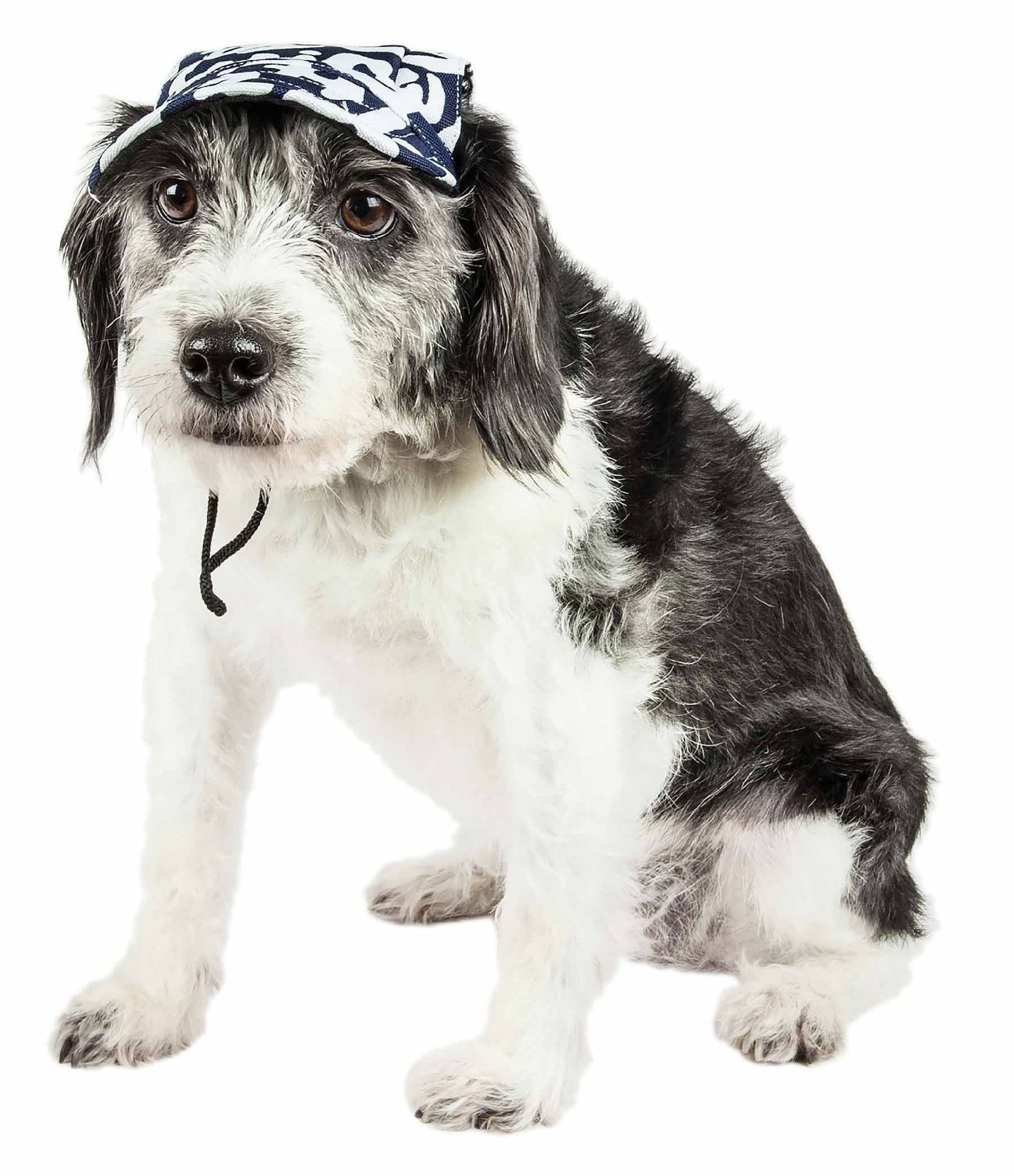 Pet Life - UV Protecting Adjustable Dog Hat Cap