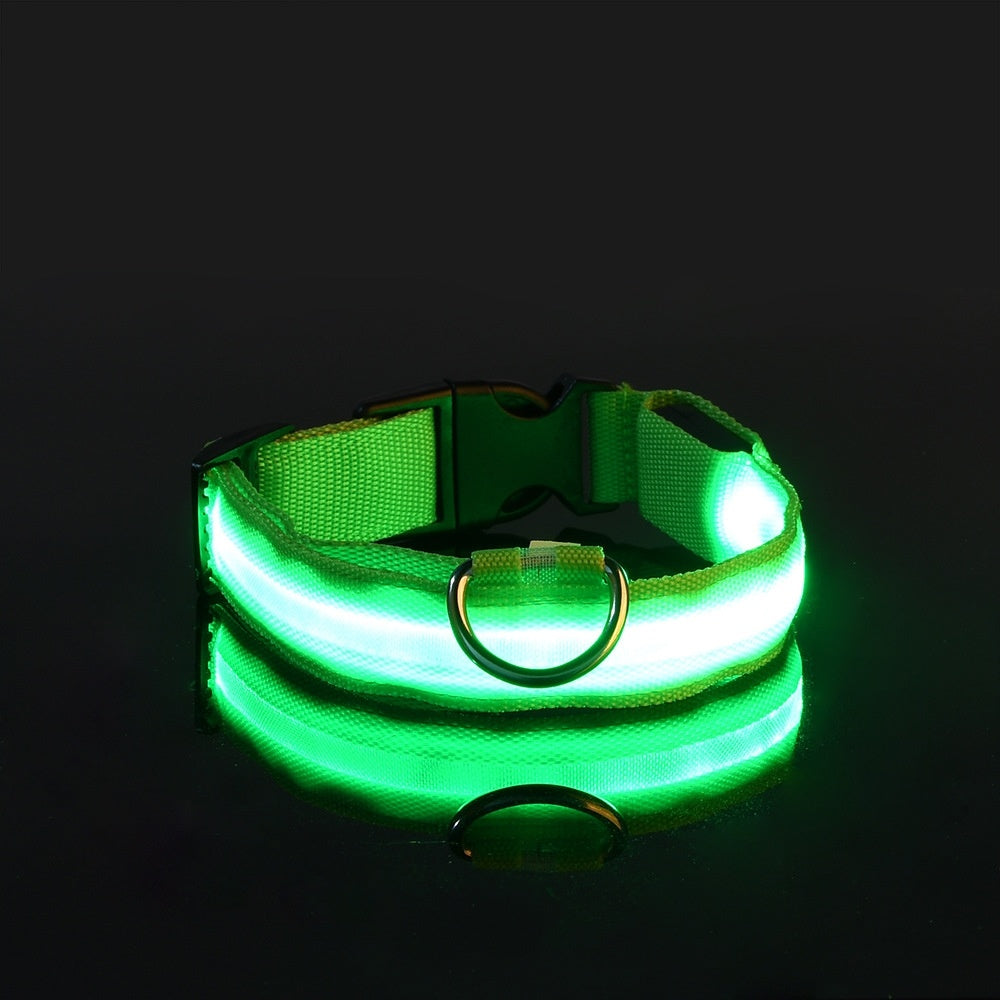 Glow-In-The-Dark Collar LED USB Charging