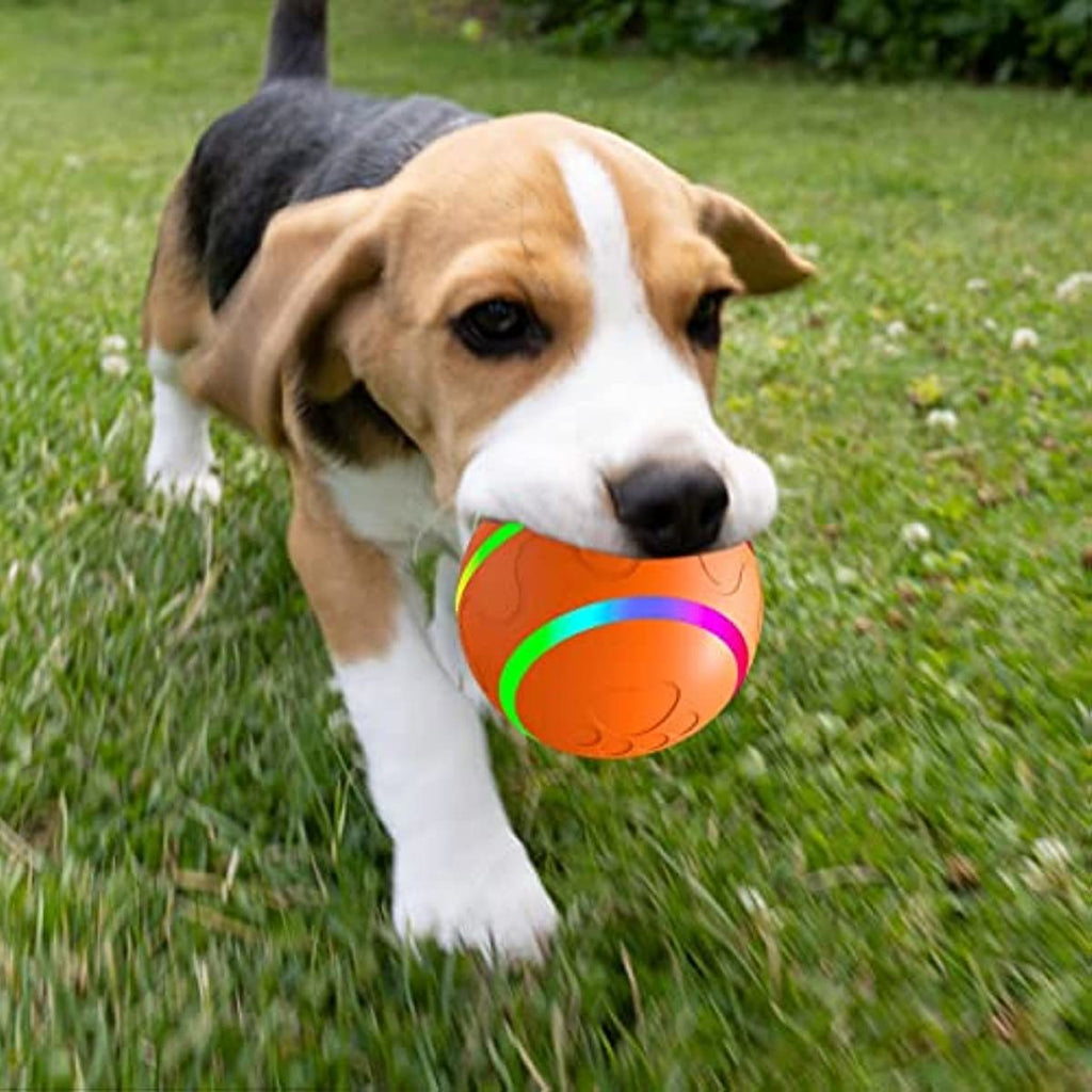 Interactive Rolling Ball for Dogs and Cats