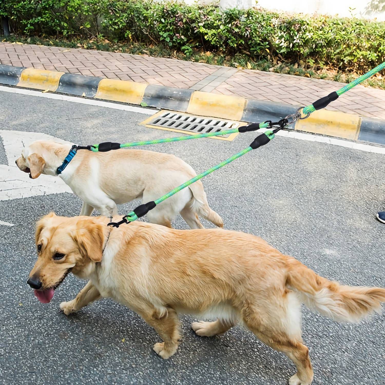 Tangle-Free Double Dog Reflective Leash