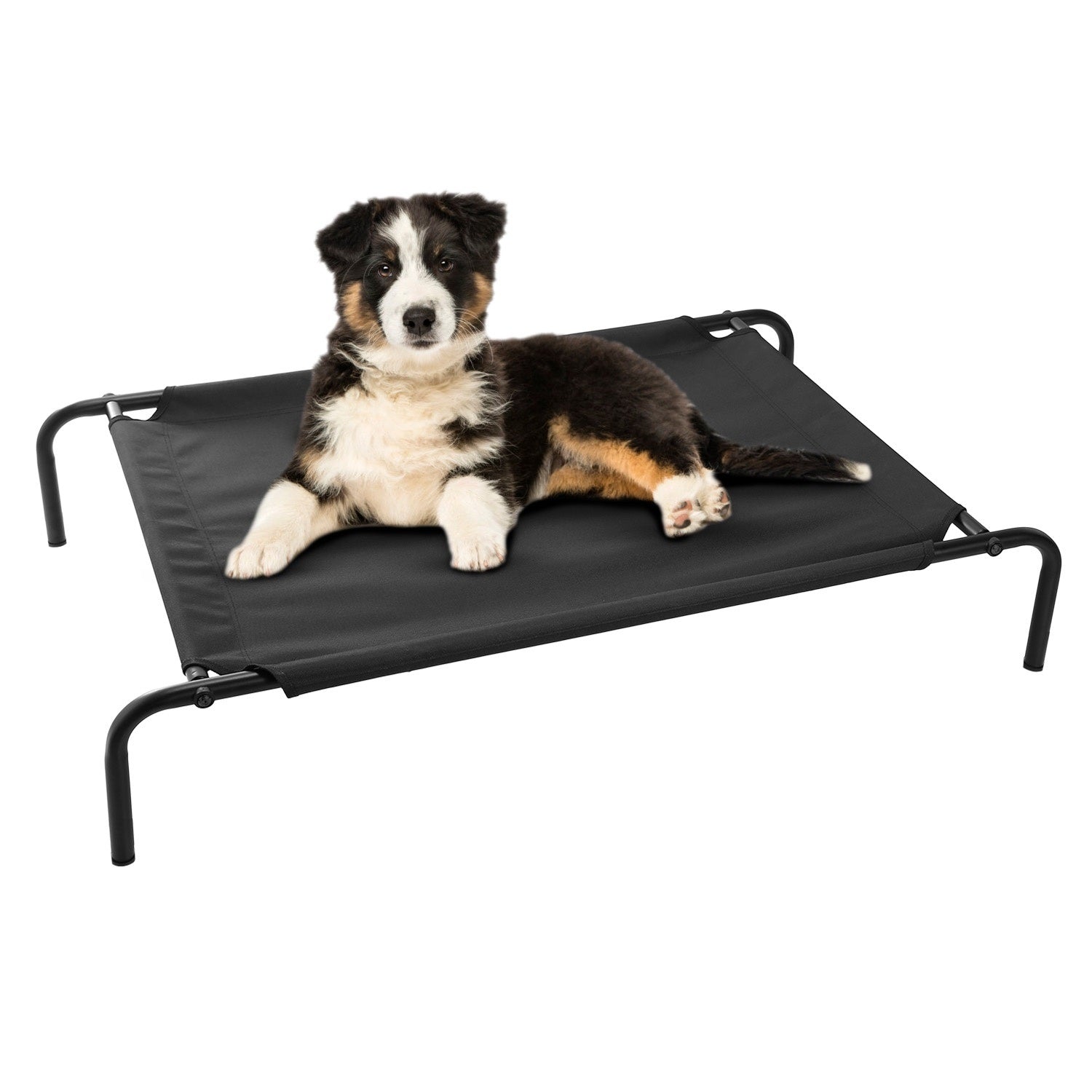 Elevated Platform Bed for Dogs and Cats - Large