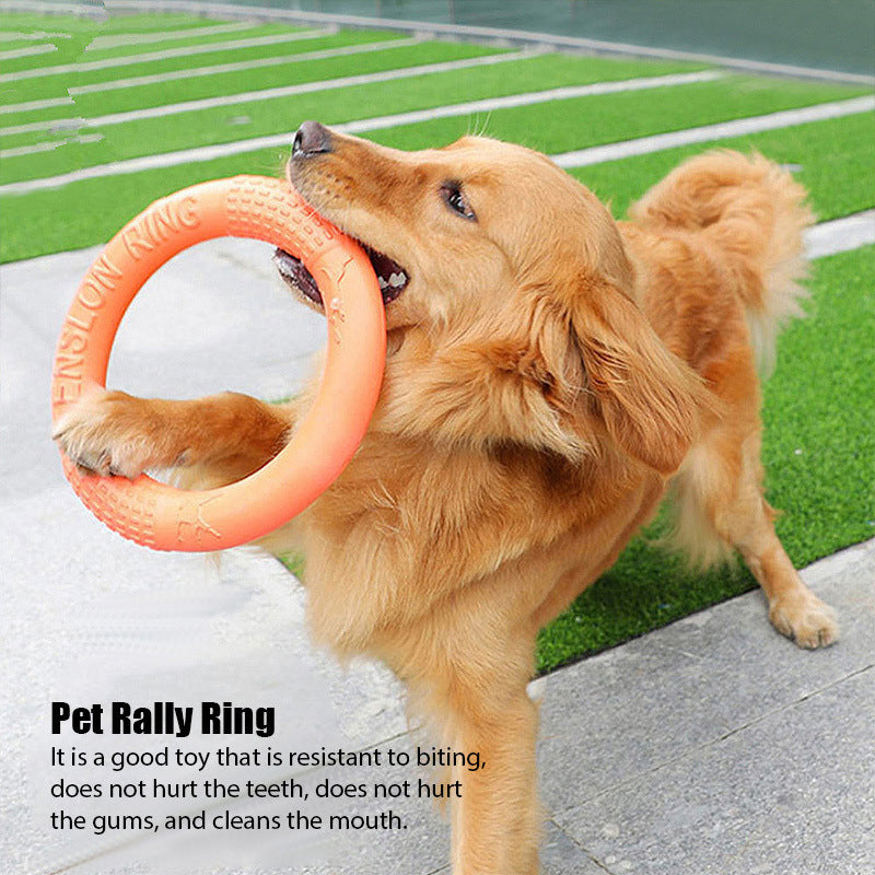 Floating Interactive Ring Training Toy for Dogs