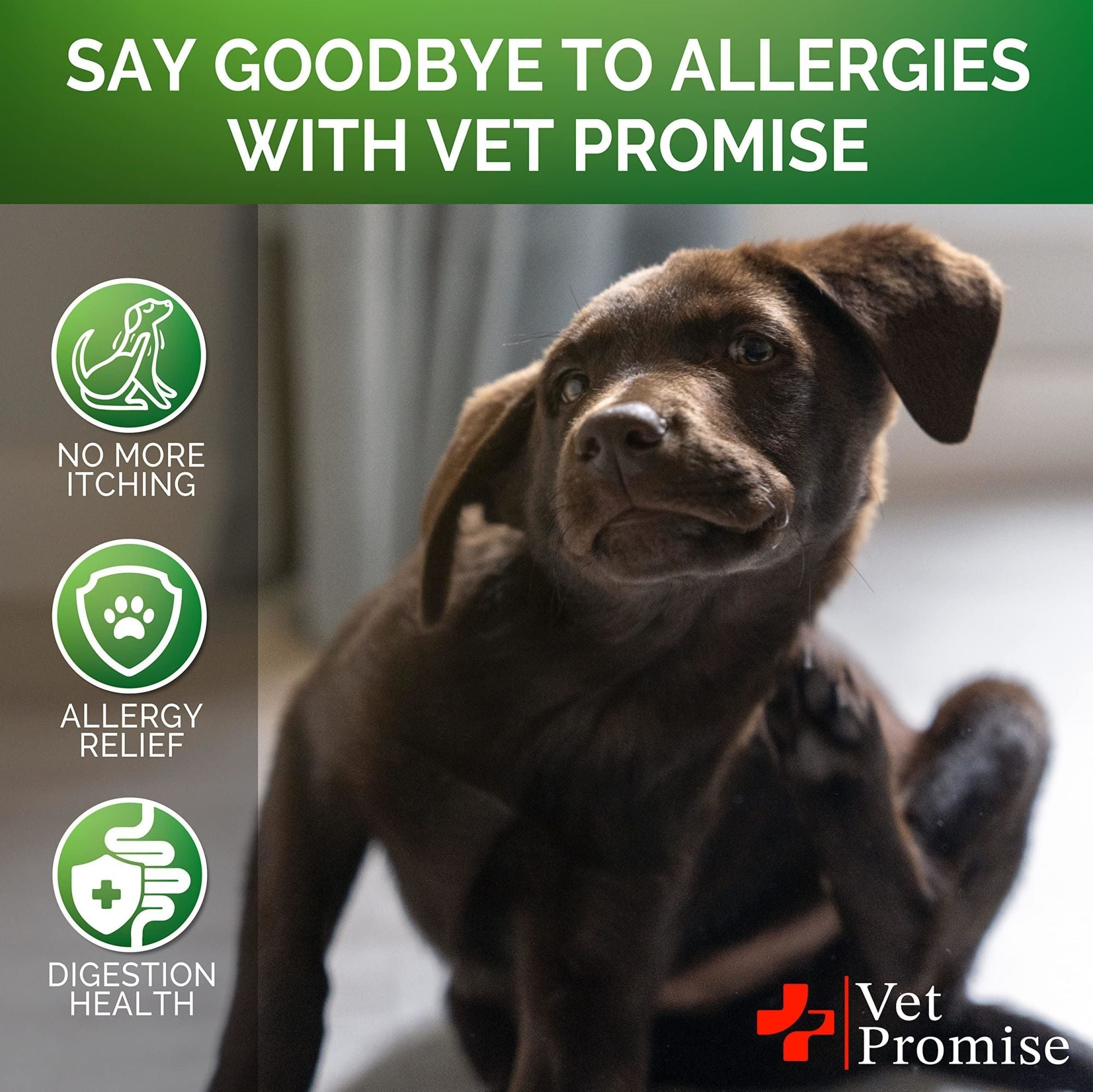 Vet Promise - Itch Relief and Allergy Relief Treatment for Dogs